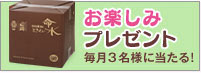 お楽しみプレゼント