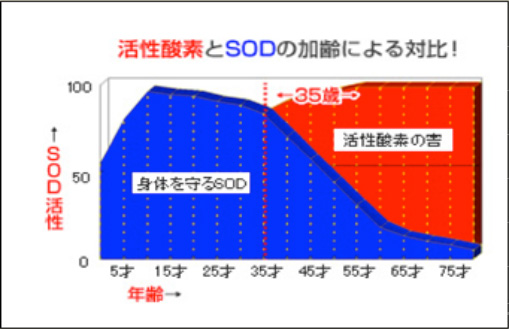 SODの年齢による影響