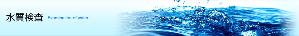 水質検査結果報告